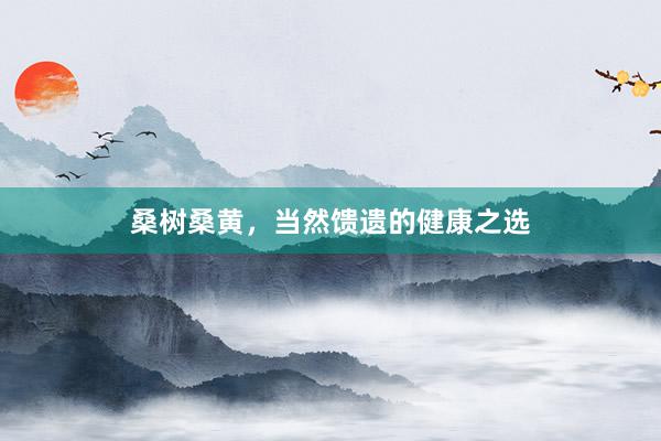 桑树桑黄，当然馈遗的健康之选