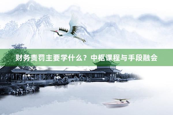 财务责罚主要学什么？中枢课程与手段融会